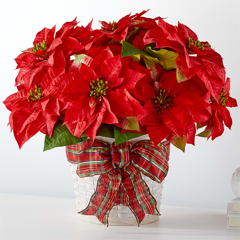 Happiest Holidays Poinsettia – Flowers Y Detallitos Analy, Durham NC