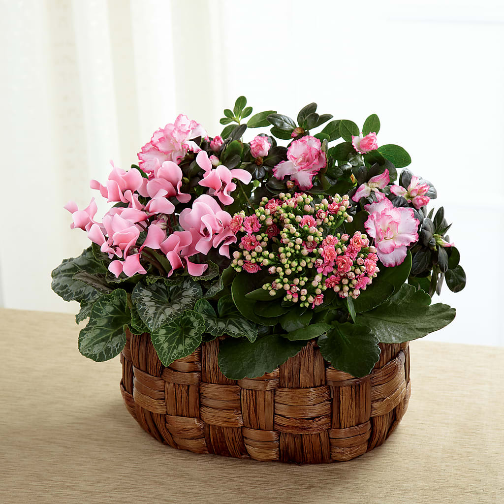 Pink Assortment – Flowers Y Detallitos Analy, Durham NC