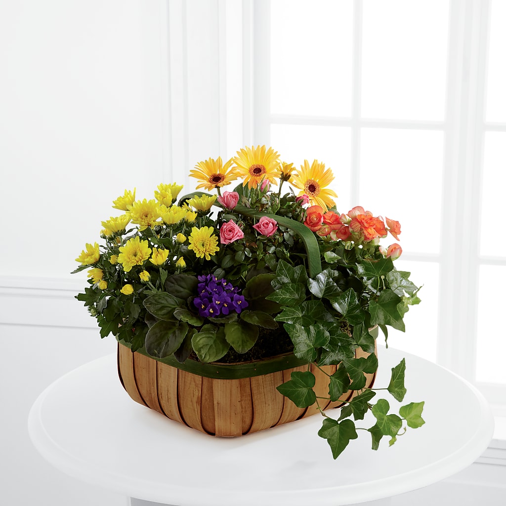 Gentle Blossoms Basket – Flowers Y Detallitos Analy, Durham NC