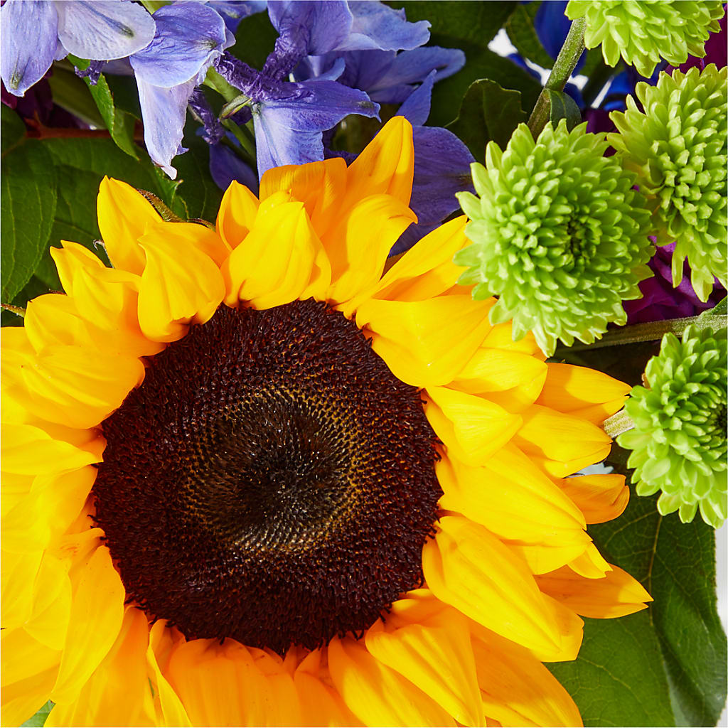 Catching Rays Bouquet – Flowers Y Detallitos Analy, Durham NC