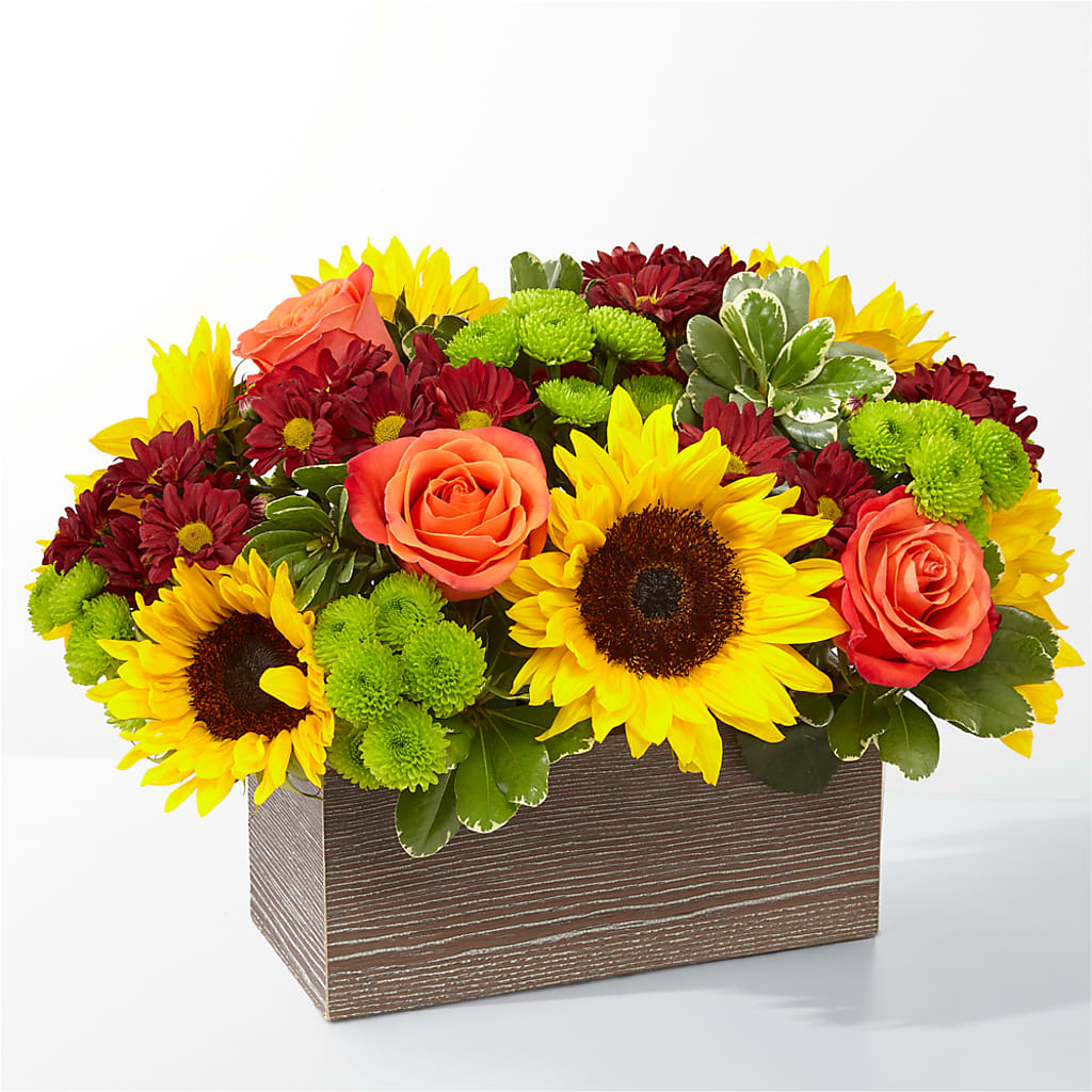 Happy Harvest Garden – Flowers Y Detallitos Analy, Durham NC