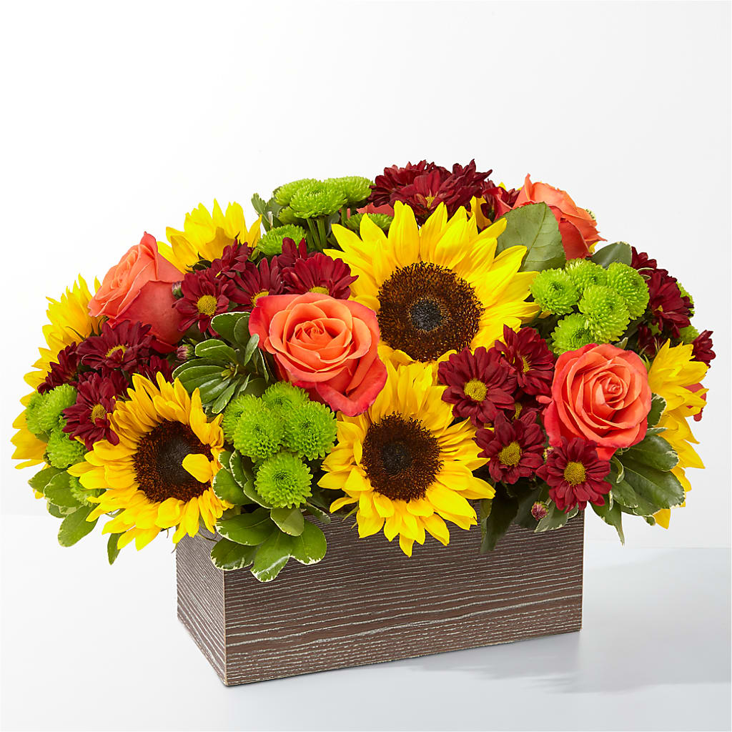 Happy Harvest Garden – Flowers Y Detallitos Analy, Durham NC