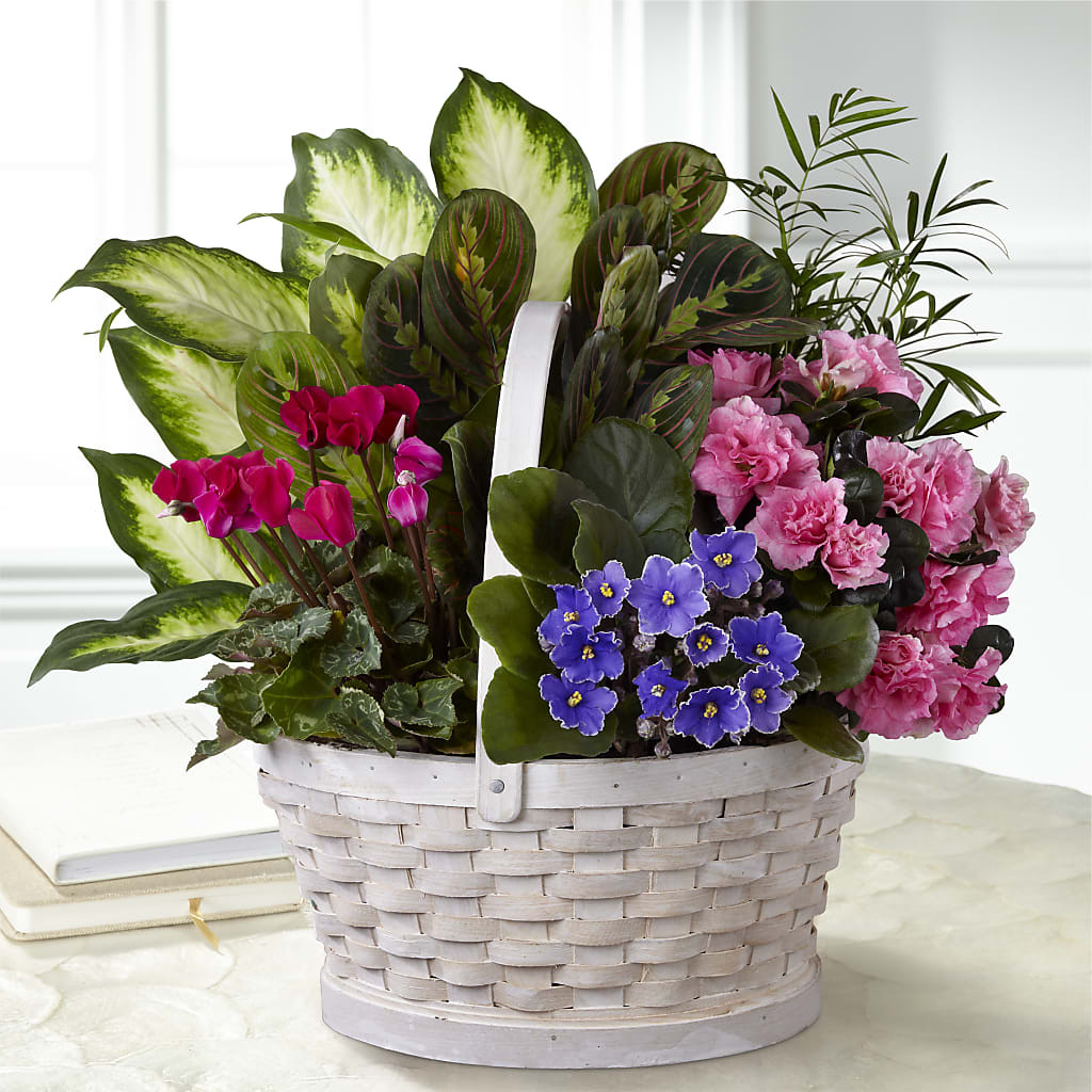 Peaceful Garden Planter – Flowers Y Detallitos Analy, Durham NC