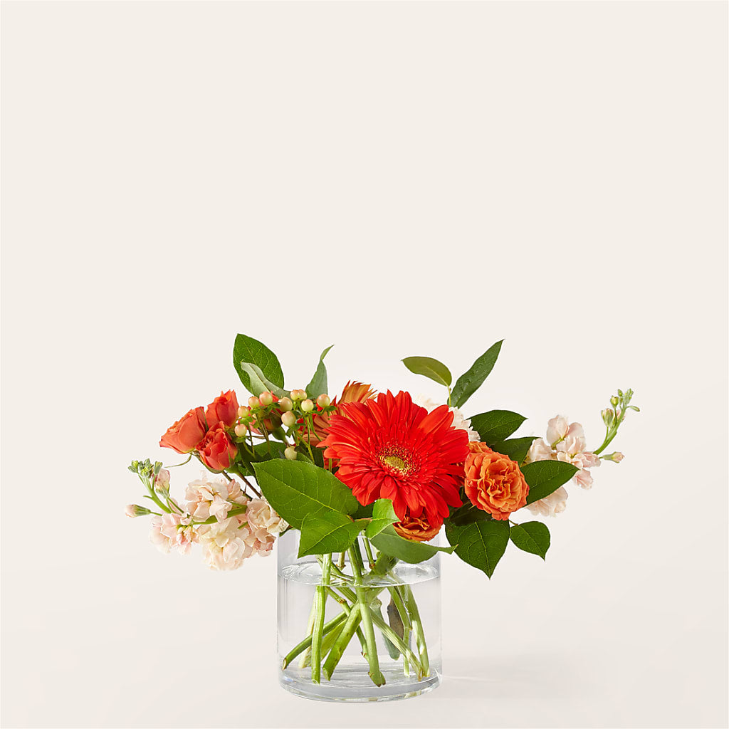 Paloma Please Bouquet – Flowers Y Detallitos Analy, Durham NC