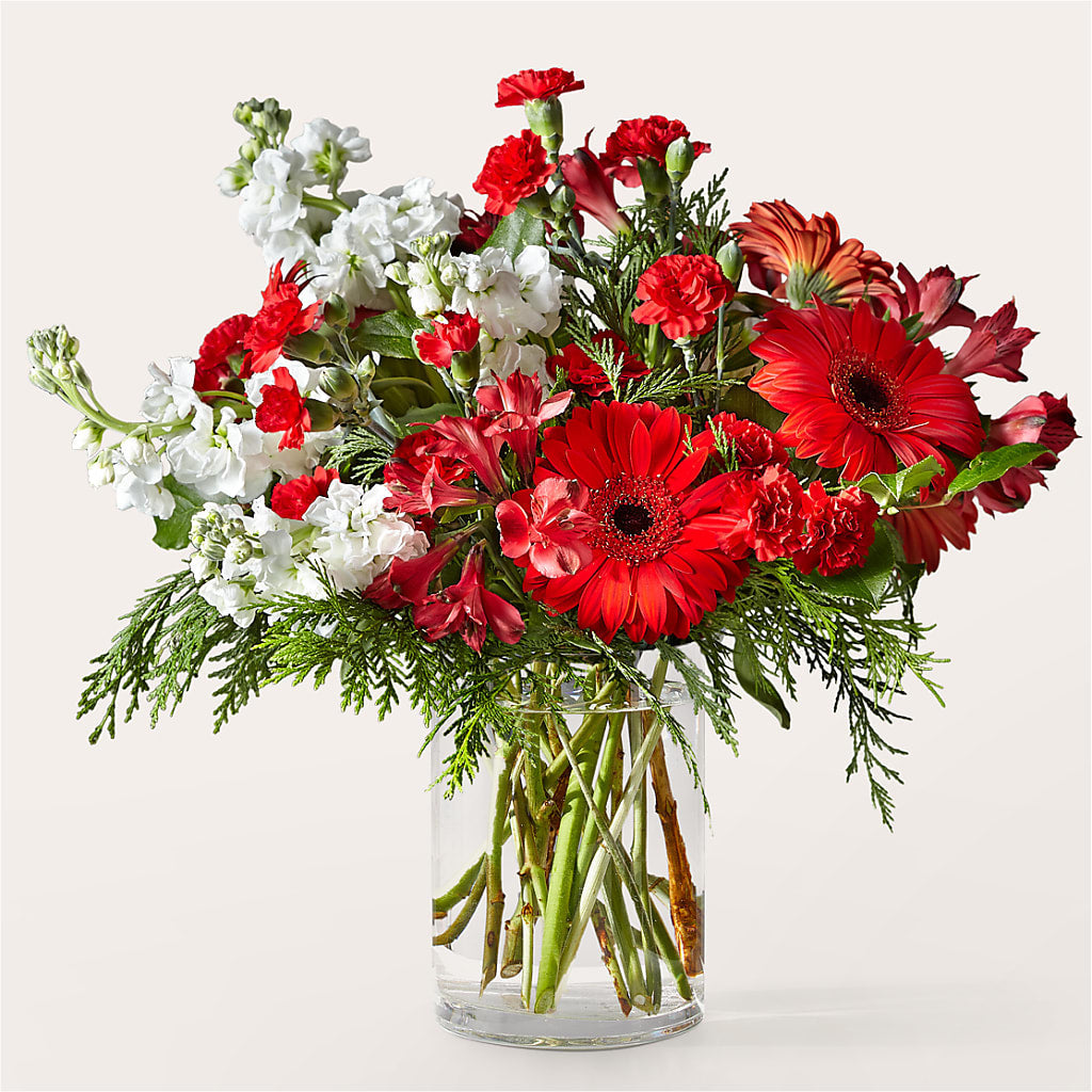 Holidaisy Bouquet – Flowers Y Detallitos Analy, Durham NC