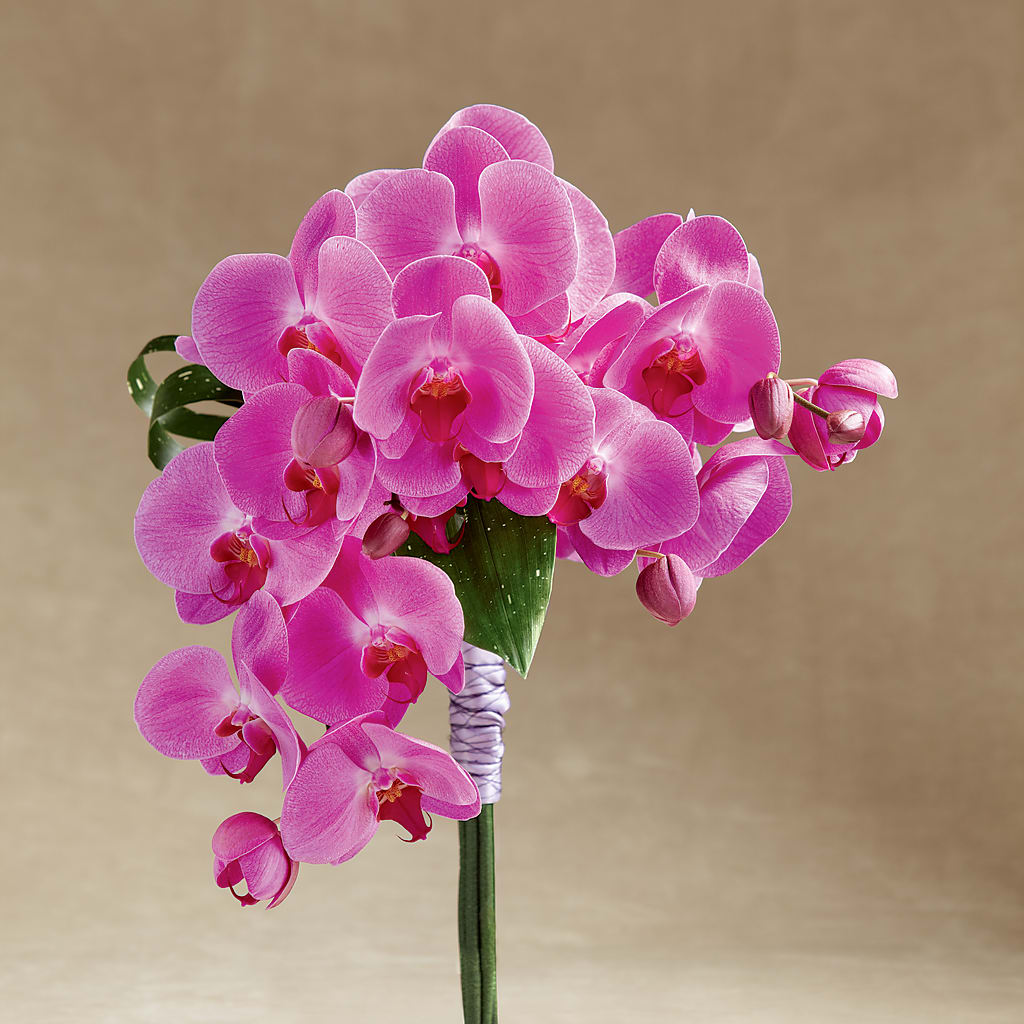 Glorious Bouquet – Flowers Y Detallitos Analy, Durham NC