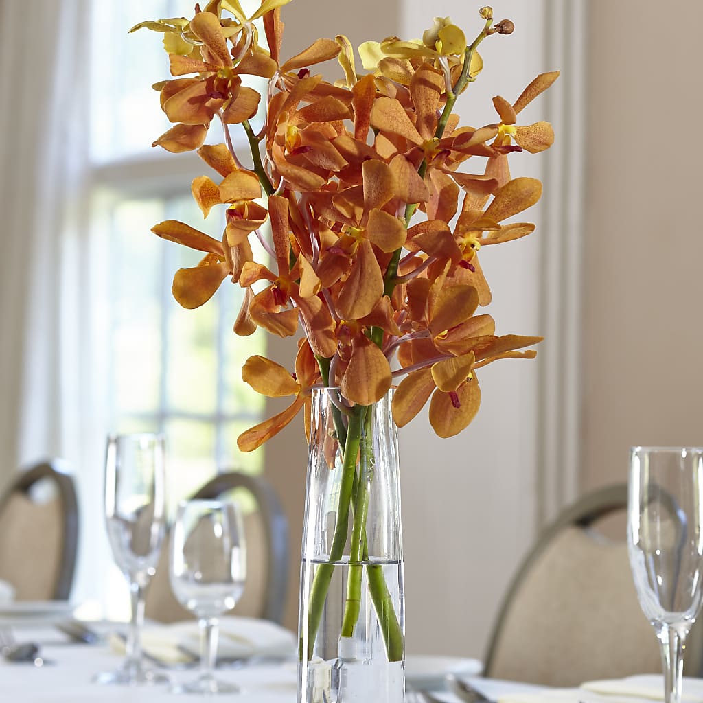 Orange Mokara Bud Vase – Flowers Y Detallitos Analy, Durham NC