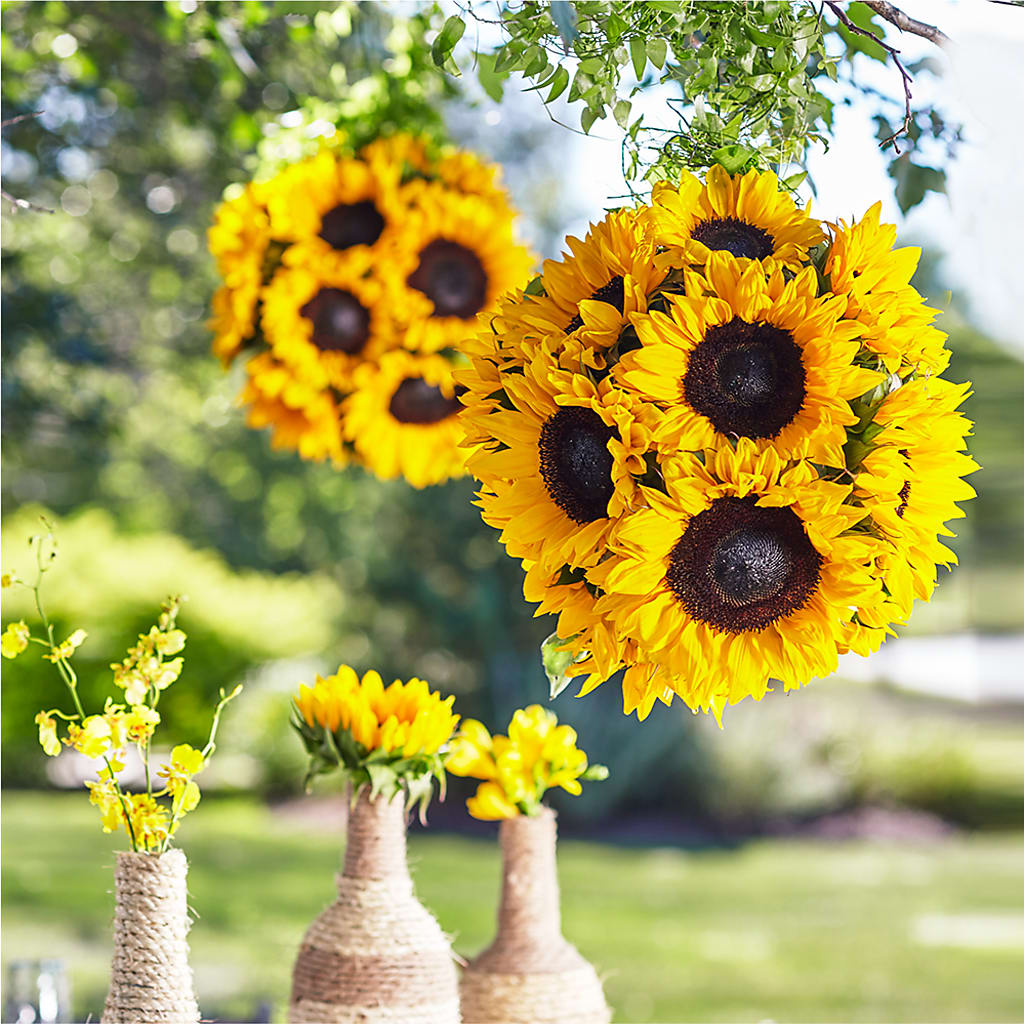 Sublime Garden Hanging Arrangement – Flowers Y Detallitos Analy, Durham NC