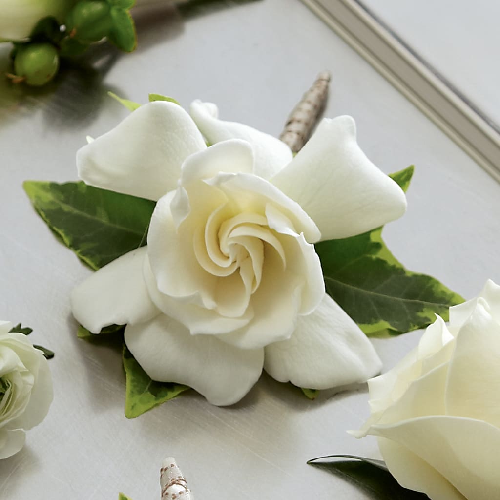 Gardenia Boutonniere – Flowers Y Detallitos Analy, Durham NC