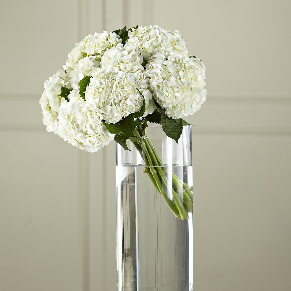 White Hydrangea Hand-Tied Bouquet – Flowers Y Detallitos Analy, Durham NC