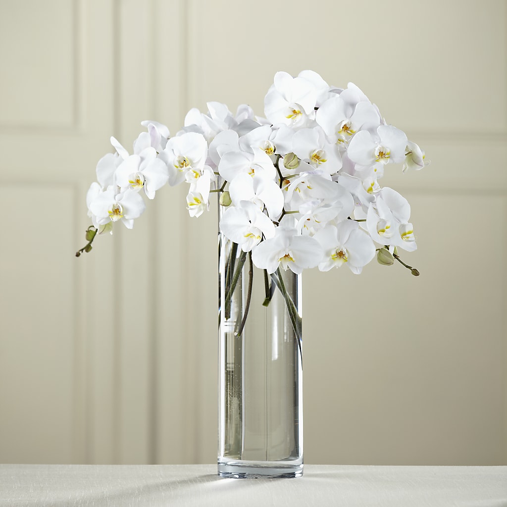 White Phalaenopsis Bouquet – Flowers Y Detallitos Analy, Durham NC