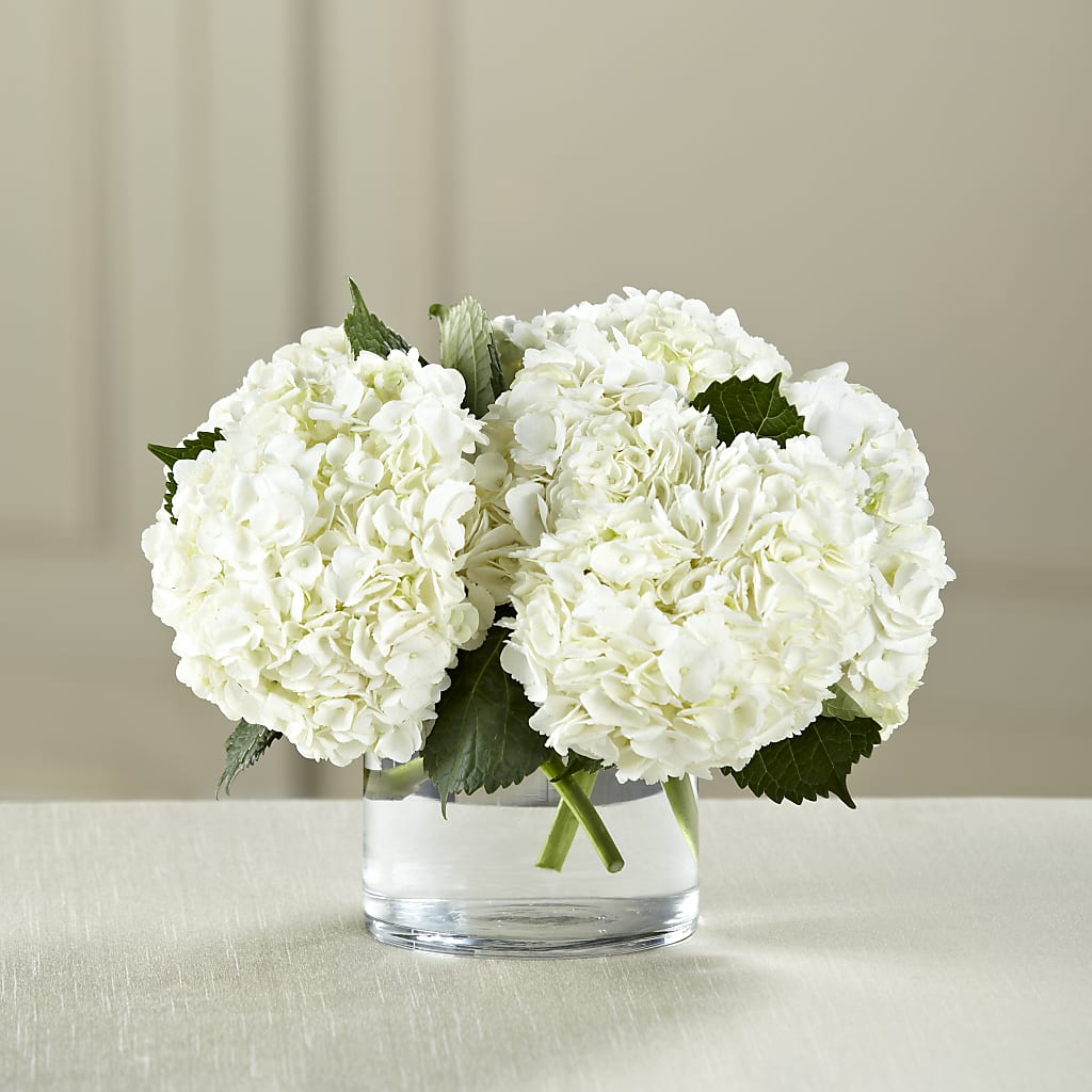 White Hydrangea Bouquet – Flowers Y Detallitos Analy, Durham NC