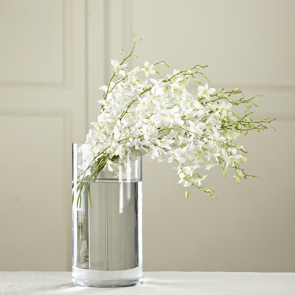 White Dendrobium Bouquet – Flowers Y Detallitos Analy, Durham NC