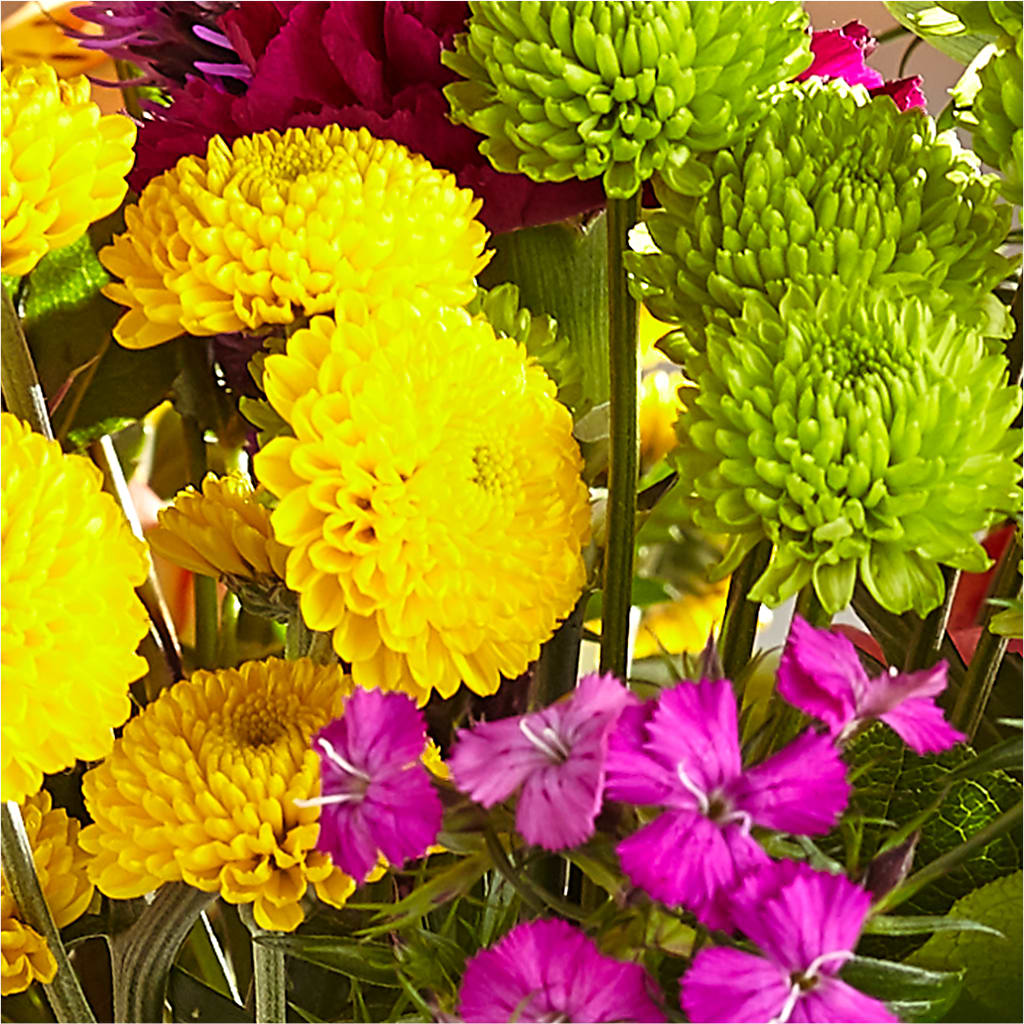 Bold & Bright – A Florist Original –  Flowers Y Detallitos Analy, Durham NC