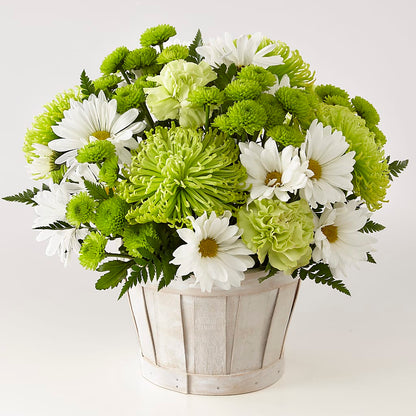 Lucky Charm Basket (Standard) –  Flowers Y Detallitos Analy, Durham NC