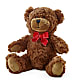 Adorable Plush Bear –  Flowers Y Detallitos Analy, Durham NC