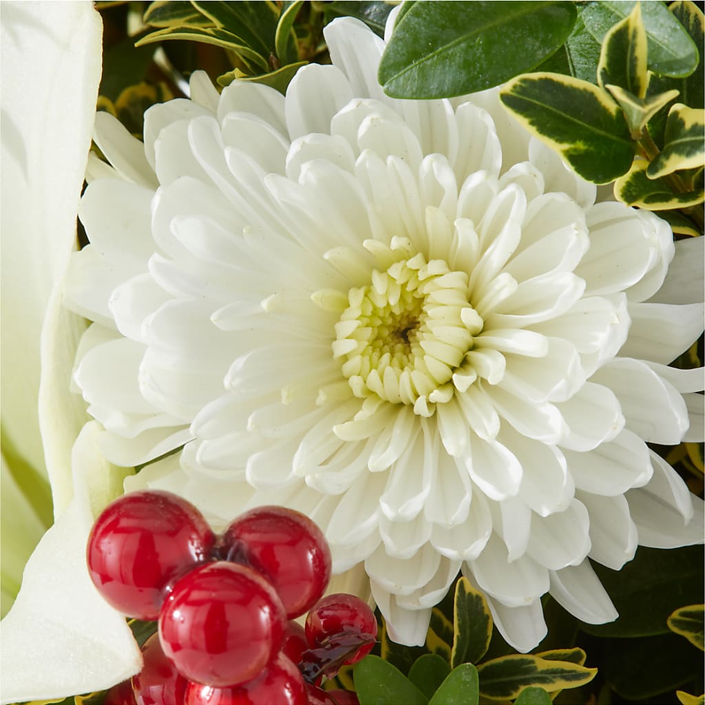 Festive Moments Tree –  Flowers Y Detallitos Analy, Durham NC
