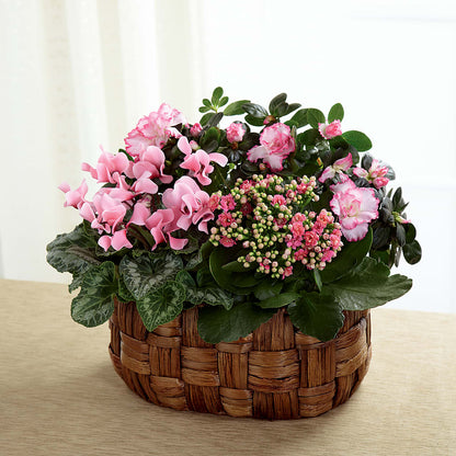 Pink Assortment –  Flowers Y Detallitos Analy, Durham NC