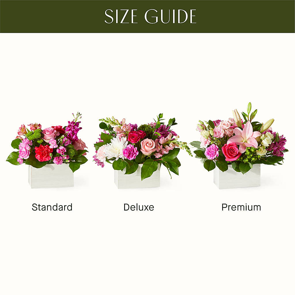 Sweetberry Box – A Florist Original –  Flowers Y Detallitos Analy, Durham NC