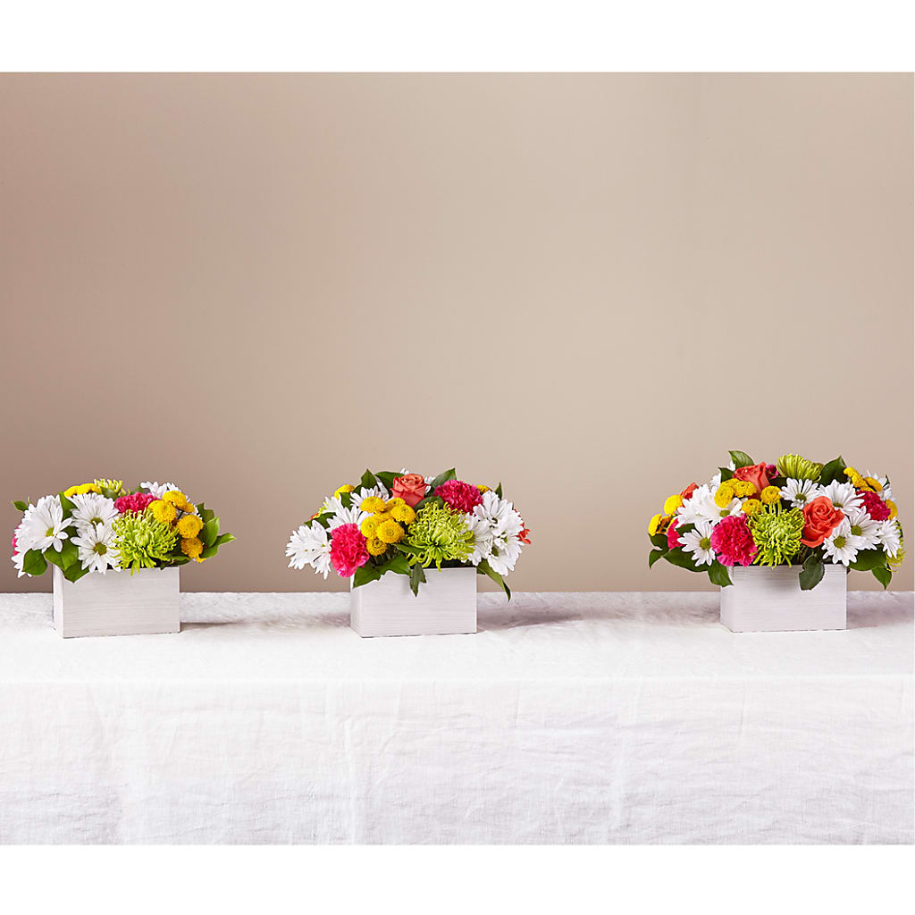 Sorbet Bouquet –  Flowers Y Detallitos Analy, Durham NC