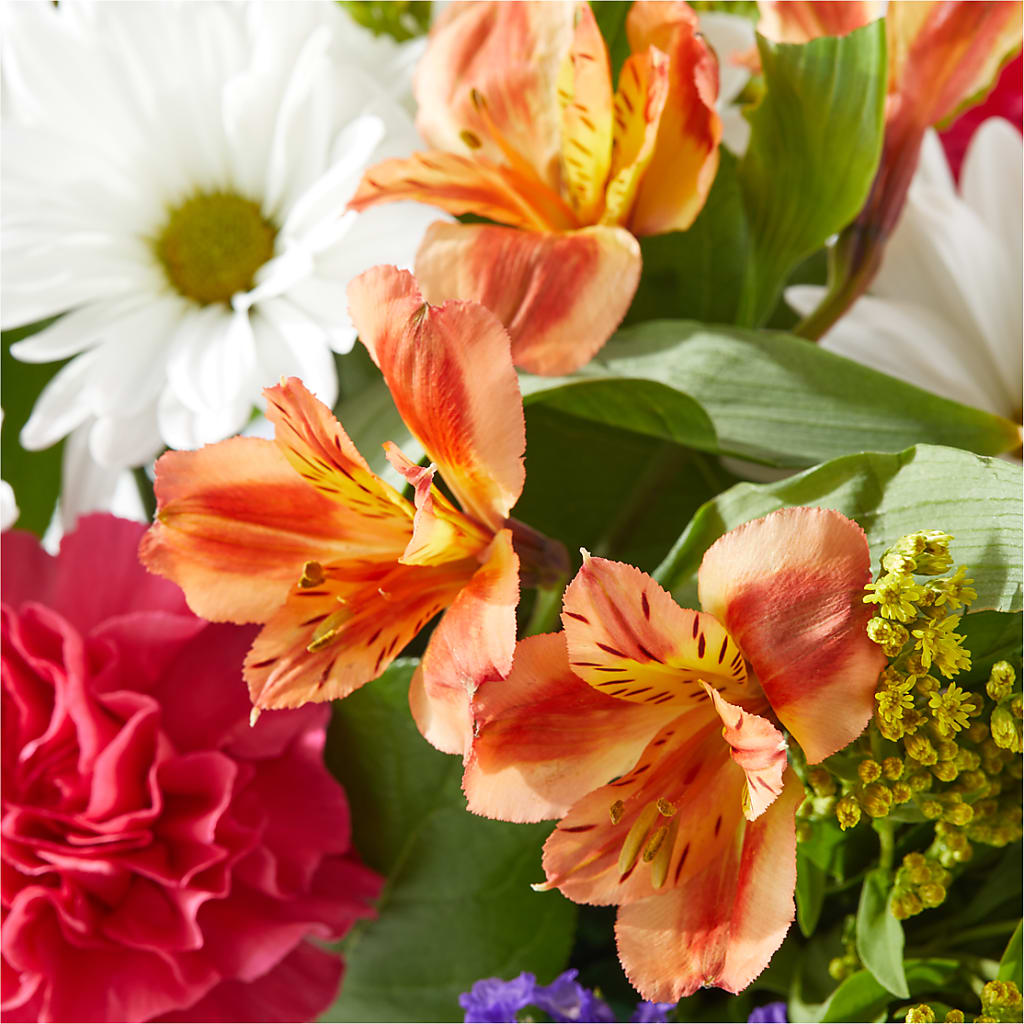 Oopsie Daisy Box Bouquet –  Flowers Y Detallitos Analy, Durham NC