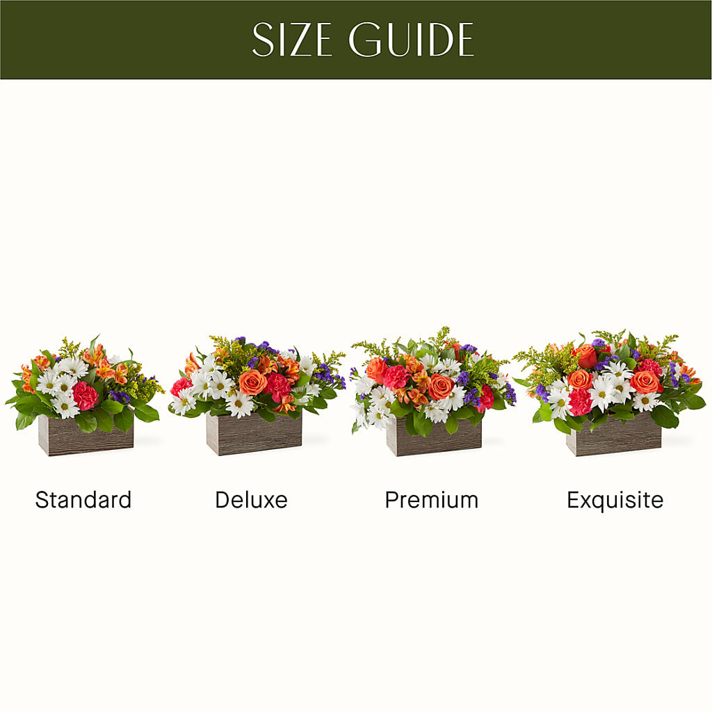 Oopsie Daisy Box Bouquet –  Flowers Y Detallitos Analy, Durham NC