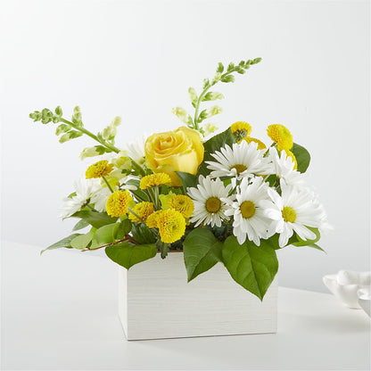 Boîte bouquet Salutation au soleil