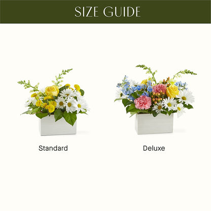 Sun Salutation Box Bouquet –  Flowers Y Detallitos Analy, Durham NC