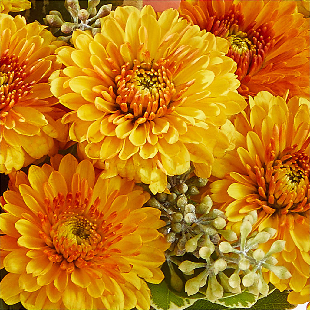 Peachy Pumpkin –  Flowers Y Detallitos Analy, Durham NC