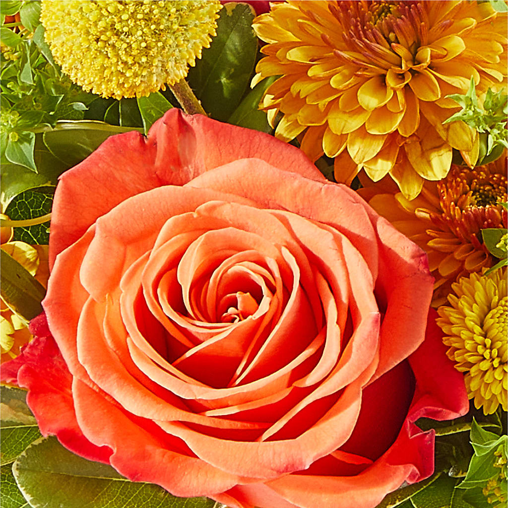 Gourdgeous Pumpkin –  Flowers Y Detallitos Analy, Durham NC