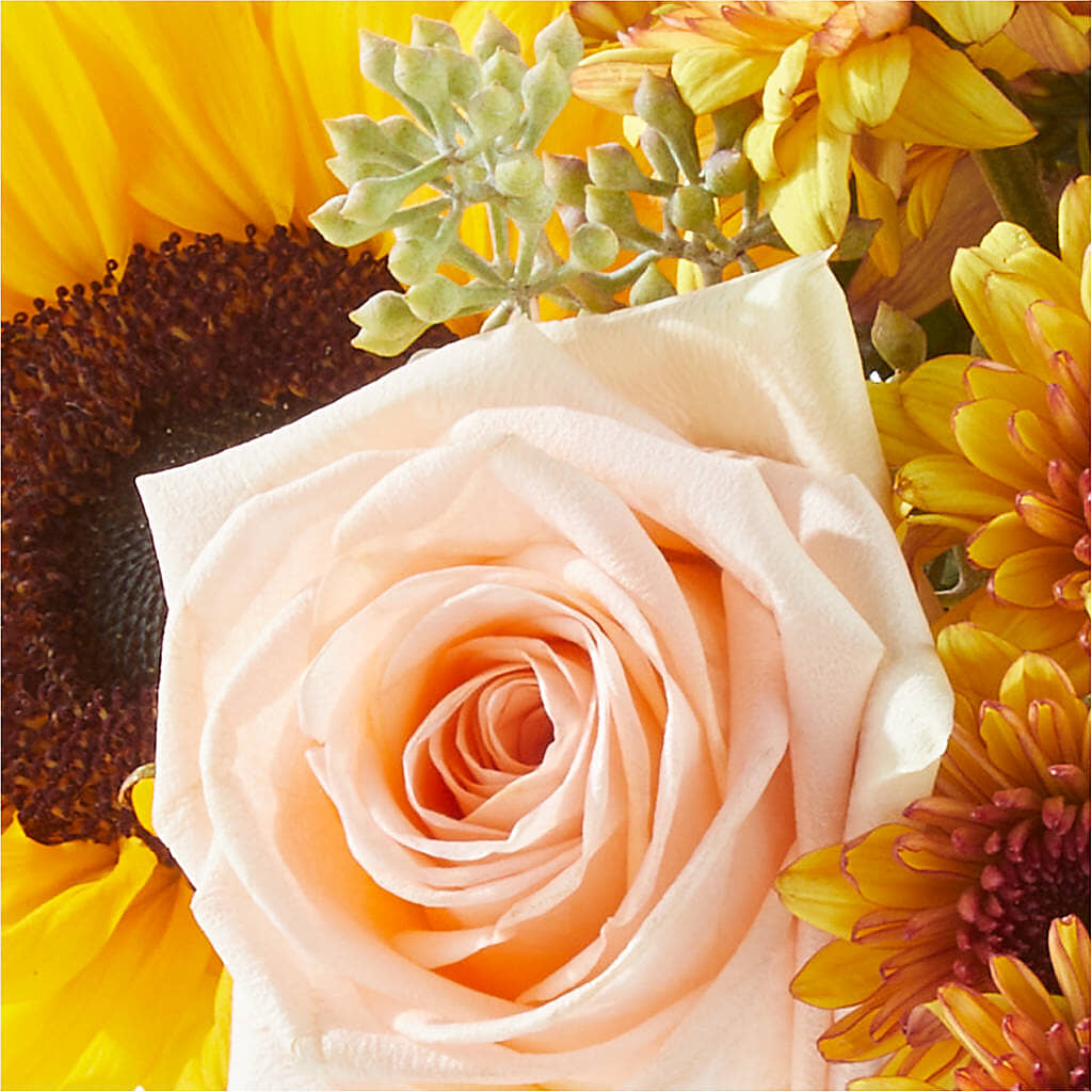 Pumpkin to Talk About Bouquet –  Flowers Y Detallitos Analy, Durham NC