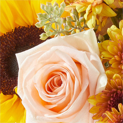 Pumpkin to Talk About Bouquet –  Flowers Y Detallitos Analy, Durham NC