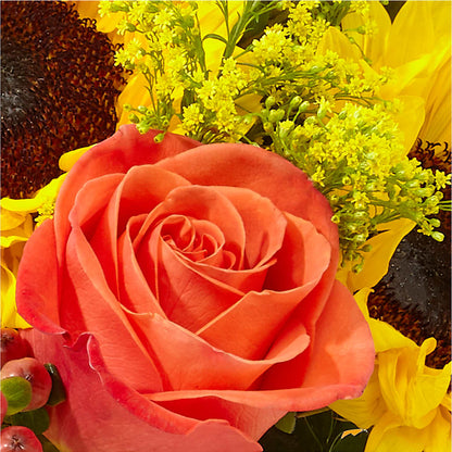 Pick of the Patch Pumpkin Bouquet –  Flowers Y Detallitos Analy, Durham NC
