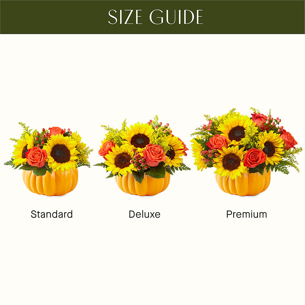 Pick of the Patch Pumpkin Bouquet –  Flowers Y Detallitos Analy, Durham NC