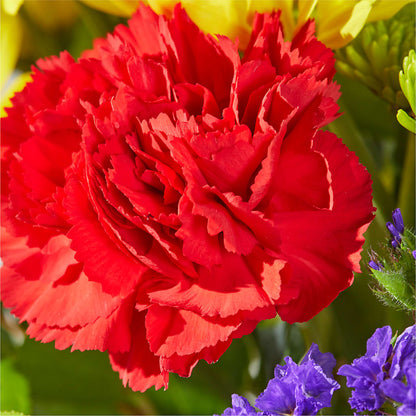 Brighter Days Bouquet –  Flowers Y Detallitos Analy, Durham NC