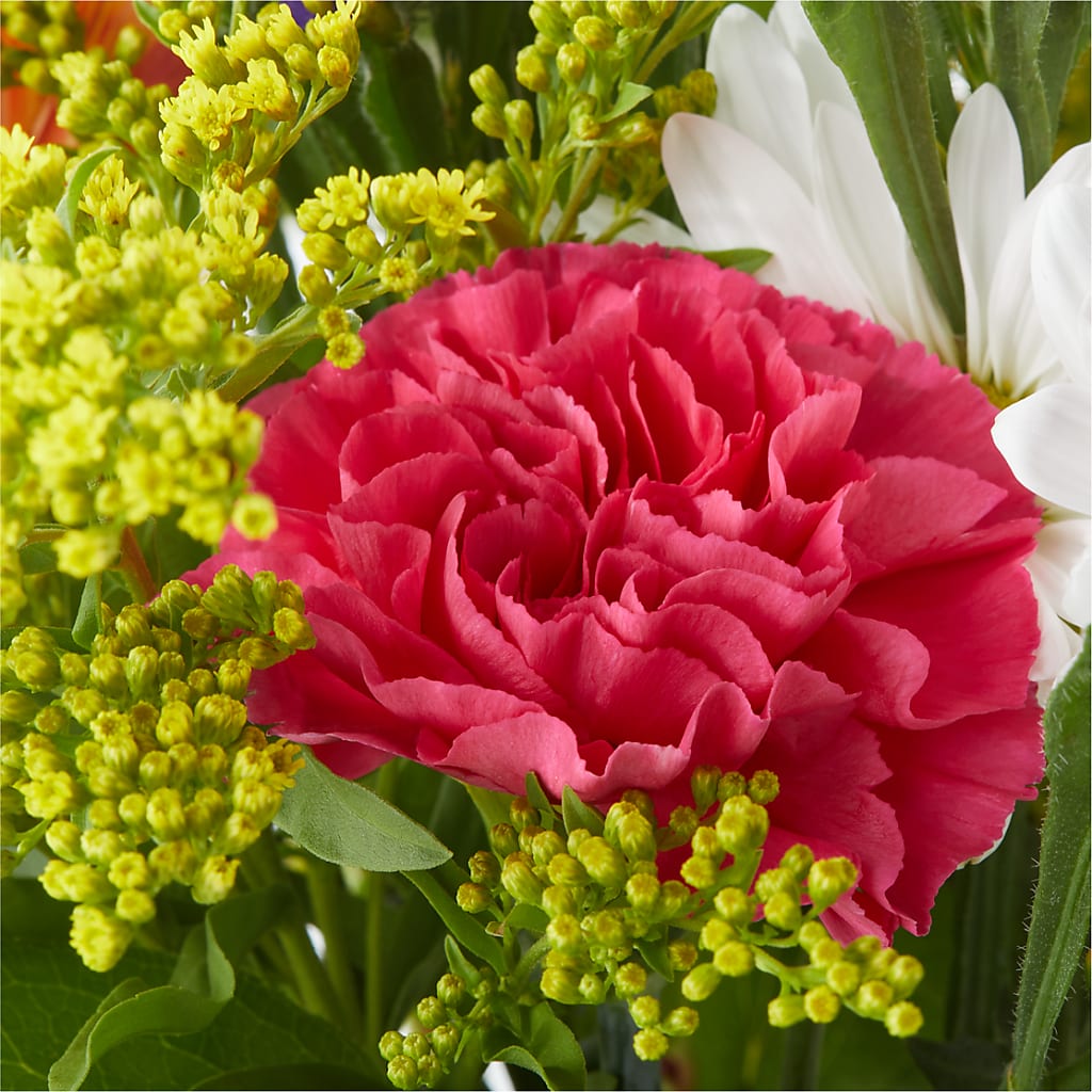 Oopsie Daisy Bouquet –  Flowers Y Detallitos Analy, Durham NC