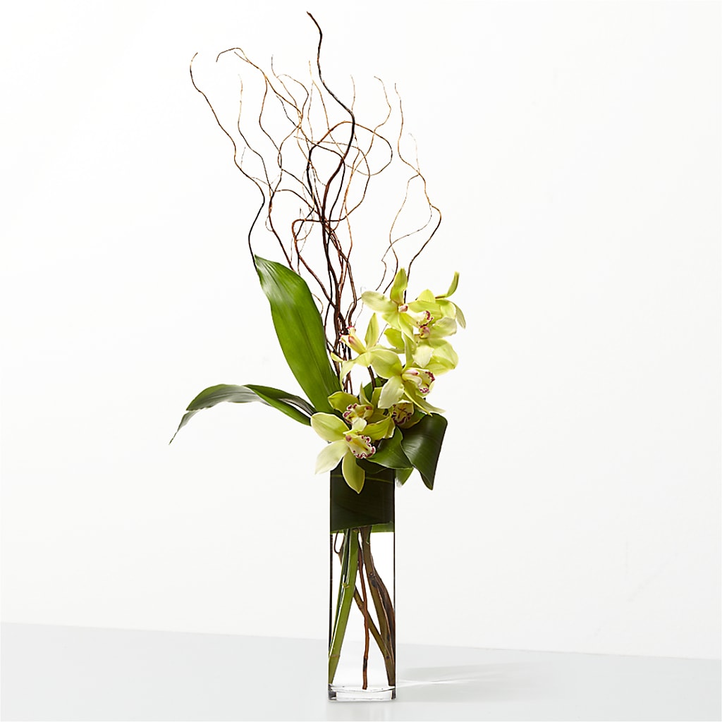 The Statement –  Flowers Y Detallitos Analy, Durham NC