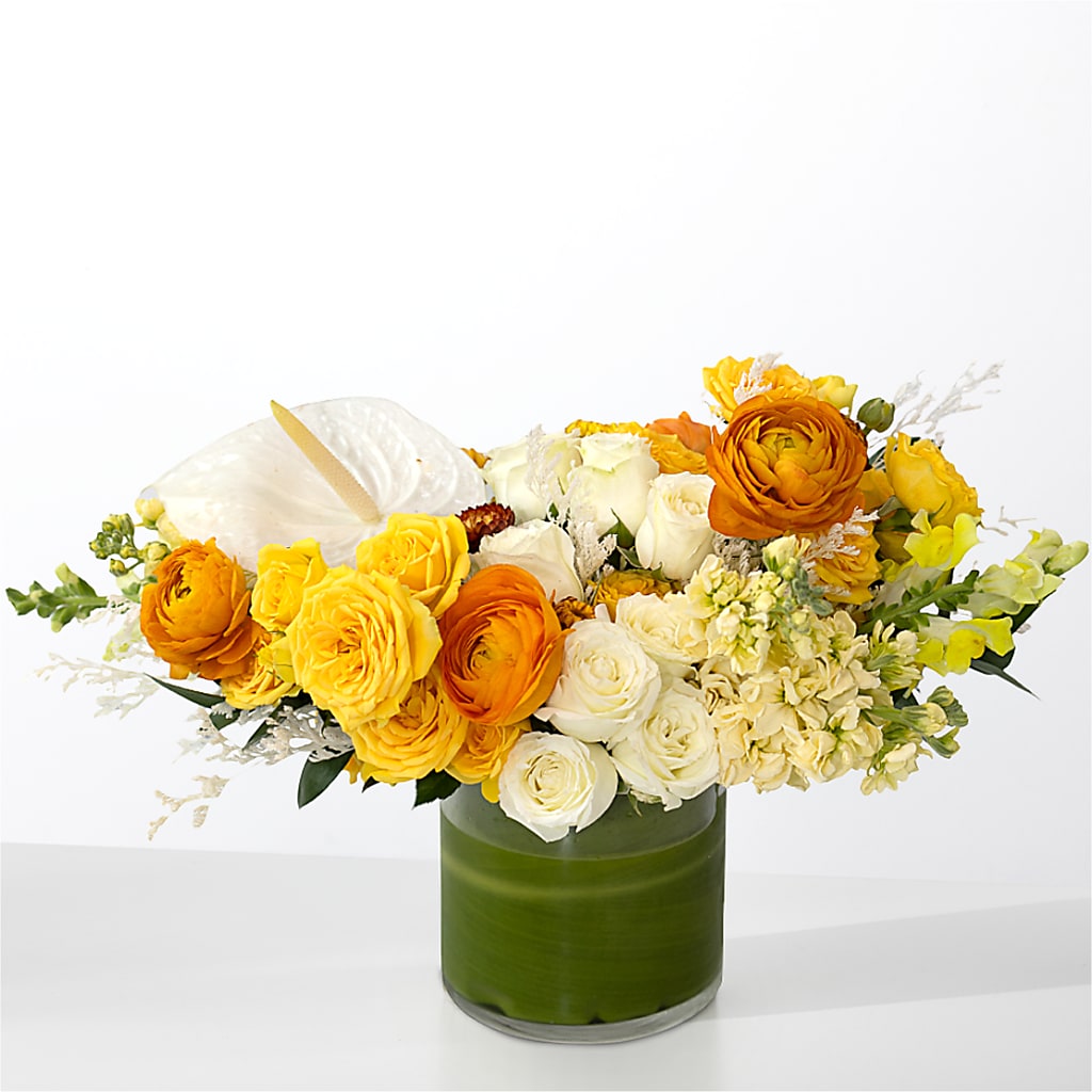 The Optimist –  Flowers Y Detallitos Analy, Durham NC