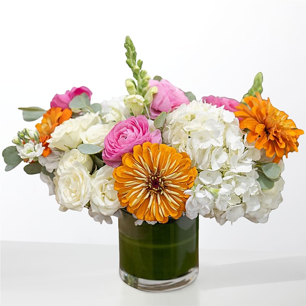 The Meet Cute –  Flowers Y Detallitos Analy, Durham NC