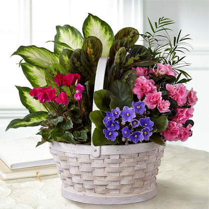 Peaceful Garden Planter –  Flowers Y Detallitos Analy, Durham NC