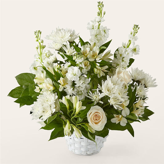 Arrangement Affection Éternelle
