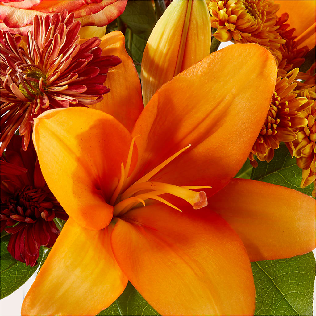 Autumnal Aroma Bouquet –  Flowers Y Detallitos Analy, Durham NC