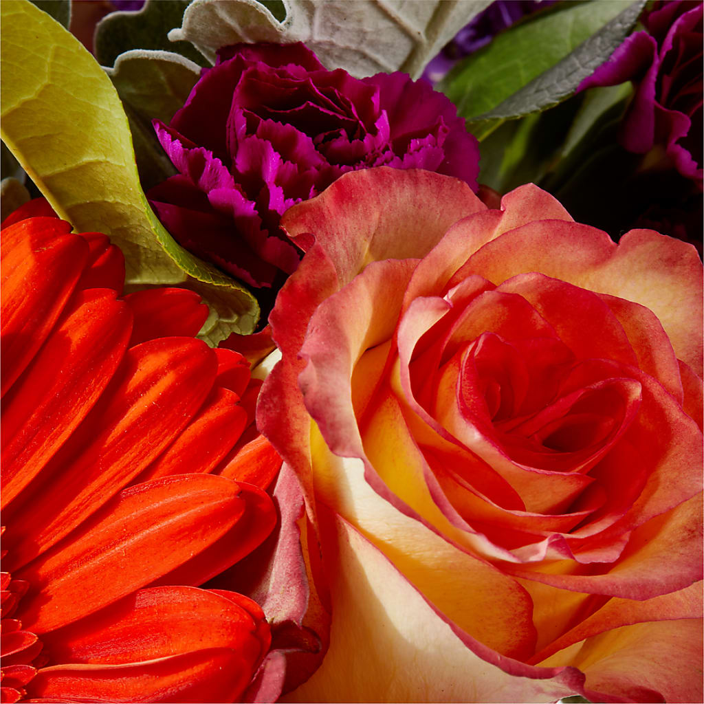 Sangria Bouquet –  Flowers Y Detallitos Analy, Durham NC