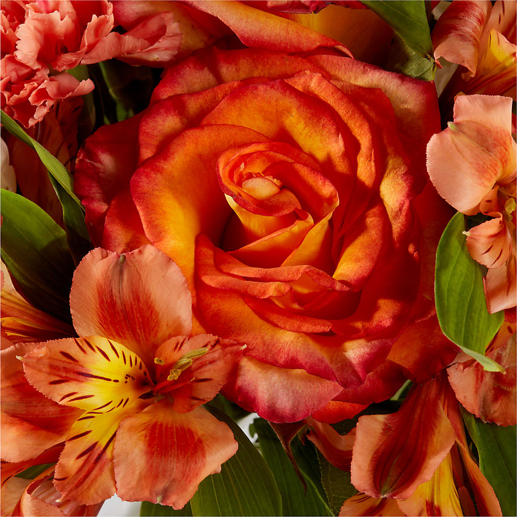 Apricot Glow Bouquet –  Flowers Y Detallitos Analy, Durham NC