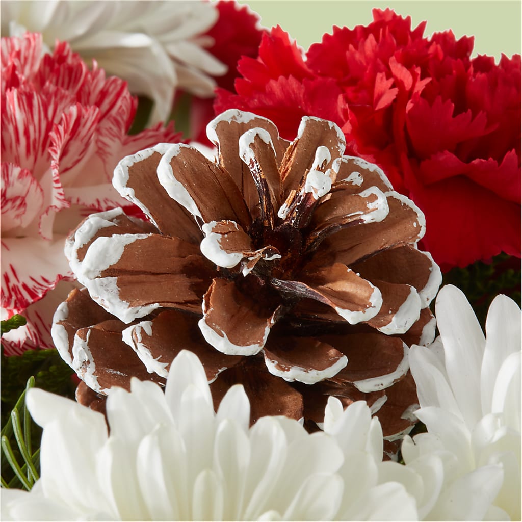 Candy Cane Lane Bouquet –  Flowers Y Detallitos Analy, Durham NC