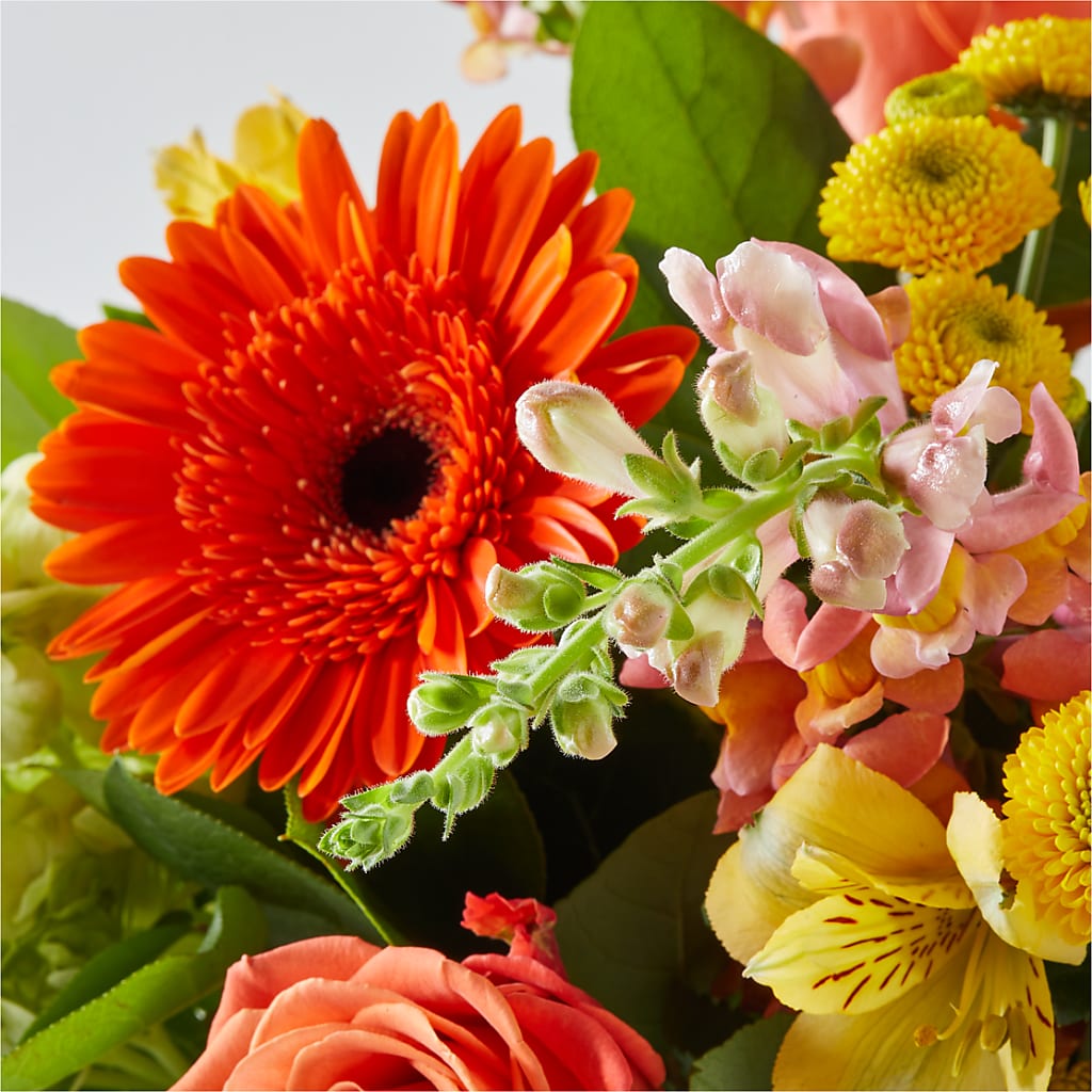 Autumn Sunshine Bouquet –  Flowers Y Detallitos Analy, Durham NC