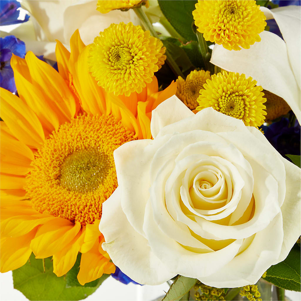 Stargazing Bouquet –  Flowers Y Detallitos Analy, Durham NC