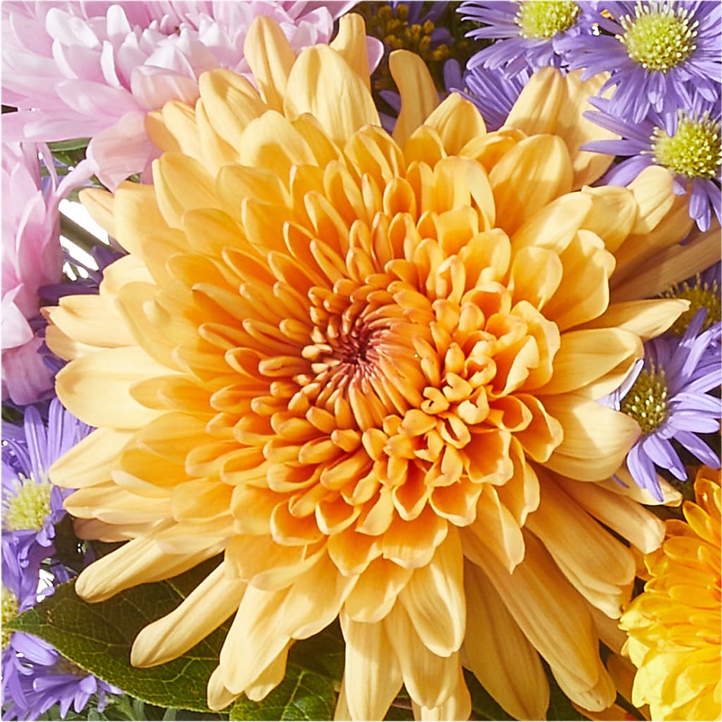 Countryside Bouquet –  Flowers Y Detallitos Analy, Durham NC