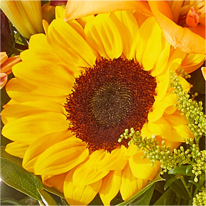 Seasons Change Bouquet –  Flowers Y Detallitos Analy, Durham NC