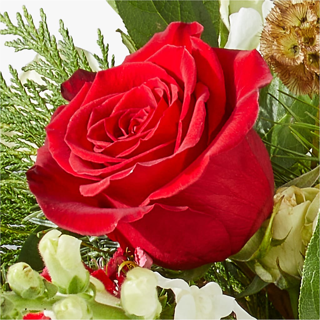 Deck the Halls Bouquet –  Flowers Y Detallitos Analy, Durham NC